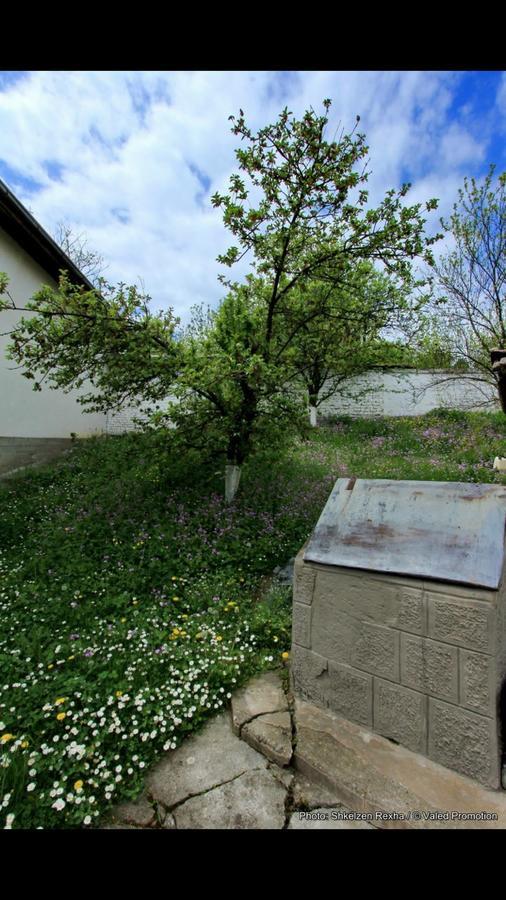 Bujtina Zhaveli Bed and Breakfast Gjakova Εξωτερικό φωτογραφία